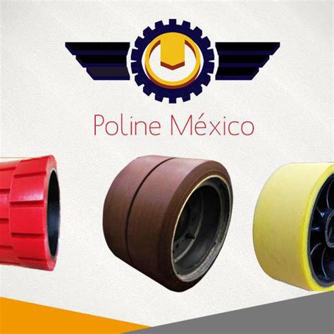 Los Productos Y Servicios De Poline México