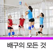 배구 수업을 통해서 학생들에게 주는 심동적 영역으로는 배구의 기초기능, 복합기능, 경기기능을 알고 배구 수업 또는 게임 플레이를 할 수 있는 것이다. 배구 경기 규칙과 운동 효과를 알아봐요 : 네이버 블로그