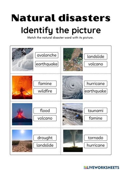 Natural Disasters Exercise For A Form Natural Disasters Homeschool Printables Vocabulary