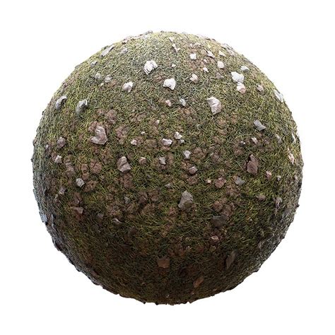 Grass With Mud And Stones Pbr Texture