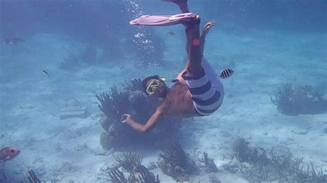 Snorkeling At Mexico Rocks At The Island Of Ambergris Caye Belize Youtube