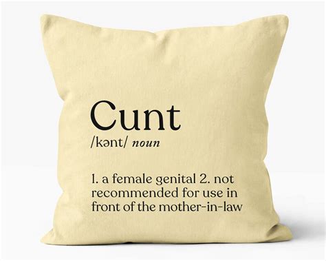 Couple Pillows Funny Couples T Dick And Cunt Definition Etsy