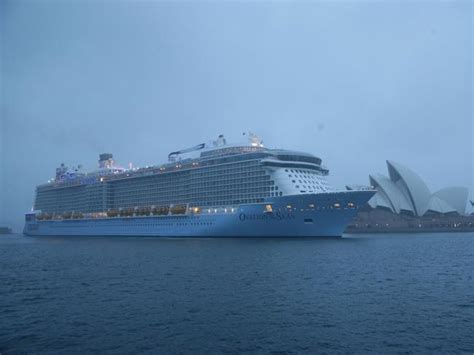 Ovation Of Seas Live Stream Sydney Harbour Au — Australias