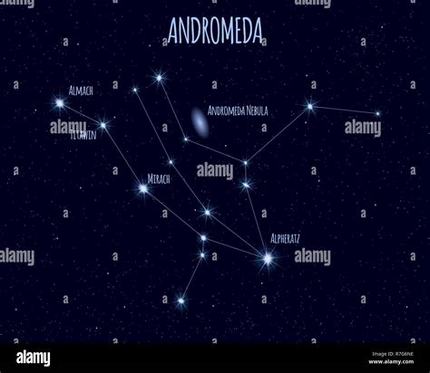 Andromeda Constellation Vector Illustration With The Names Of Basic