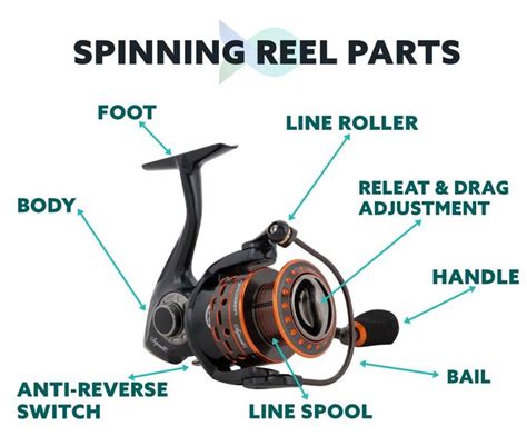 How To Change A Fishing Reel From Right To Left Handed Fishing Reels