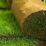 How To Install Sod Pictures