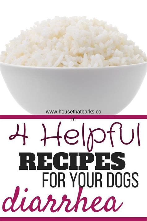 Seeing canines chow down on the contents of an abrupt changes to your dog's diet could result in gastrointestinal disturbances that lead to vomiting and/or diarrhea—and the last thing you want to do. 4 Recipes for Dogs Diarrhea or Upset Stomach | Easy dog ...