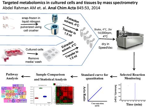 Mass Spectrometry Metabolites Dennis Lab Lunenfeld