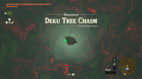 Zelda Tears Of The Kingdom Deku Tree And Hyrule Forest Guide Gamespot