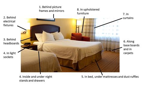 If you have any questions or concerns about whether you are going to be required to pay alimony, it is a good idea to get in touch with a men's divorce lawyer who understands the laws in your state. How to Prevent a Bed Bug Infestation NYC | Long Island