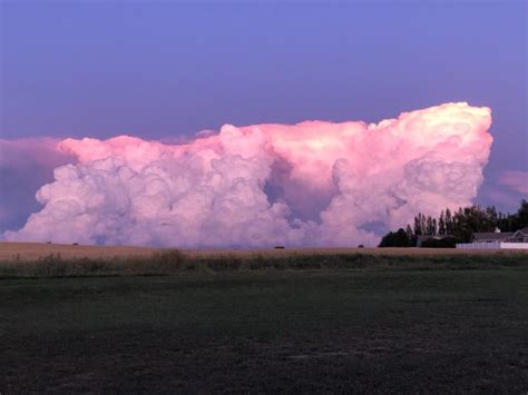 Cotton Candy Clouds Skyspy Photos Images Video