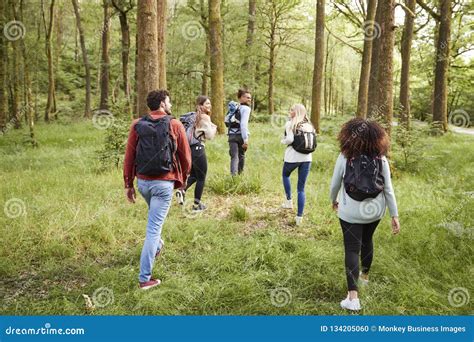 A Group Of Five Young Adult Friends Talk While Walking In A Forest