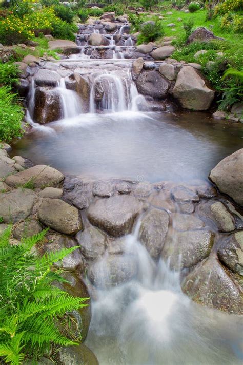 Naturgarten Mit Kleinem Wasserfall Der Kaskade Stockbild Bild Von Wald Dschungel 51718411