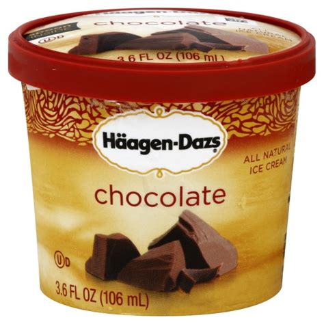 Haagen Dazs Ice Cream Single Serve Chocolate