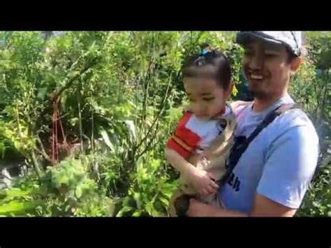 Taman burung kuala lumpur ialah sebuah taman burung malaysia yang berukuran 20.9 ekar (8.5 ha). Kim's Family Day Out : Taman Rama Rama Kuala Lumpur (KL ...