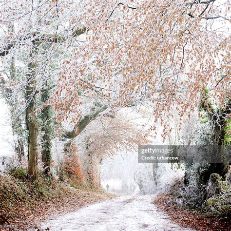 Rural Winter Scene High Res Stock Photo Getty Images
