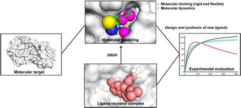 Here you can explore hq molecular geometry transparent illustrations, icons and clipart with filter setting like size, type, color etc. Molecular Geometry Activity Free Printable : Mol Geom Gif ...