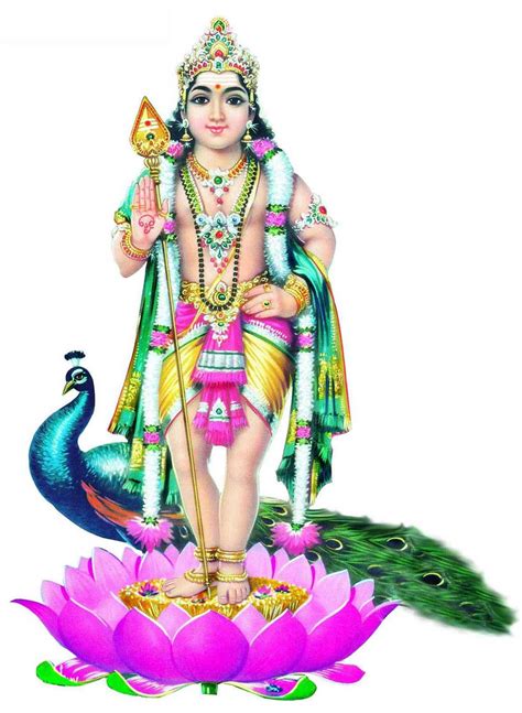 Om, let us meditate that supreme lord who is the supreme general of the great deva army, lord shanmurgha or muruga. Lord Murugan PNG Transparent Lord Murugan.PNG Images ...