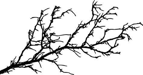 tree branch png 10 free Cliparts | Download images on Clipground 2021