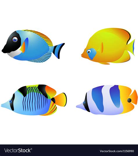 Tropical Fish Collection Royalty Free Vector Image