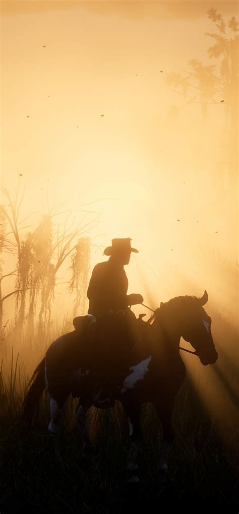 1440x3100 Red Dead Redemption 2 Swampy Afternoons 1440x3100 Resolution