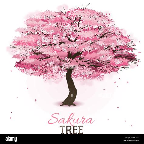 Realistic Sakura Tree Stock Vector Image And Art Alamy