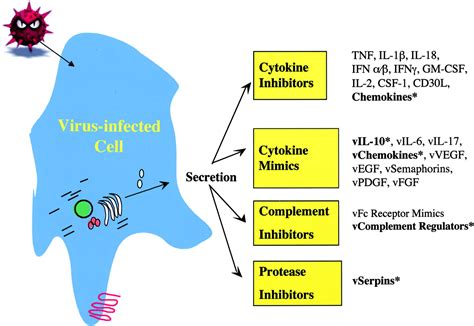 Secreted Immunomodulatory Viral Proteins As Novel Biotherapeutics The