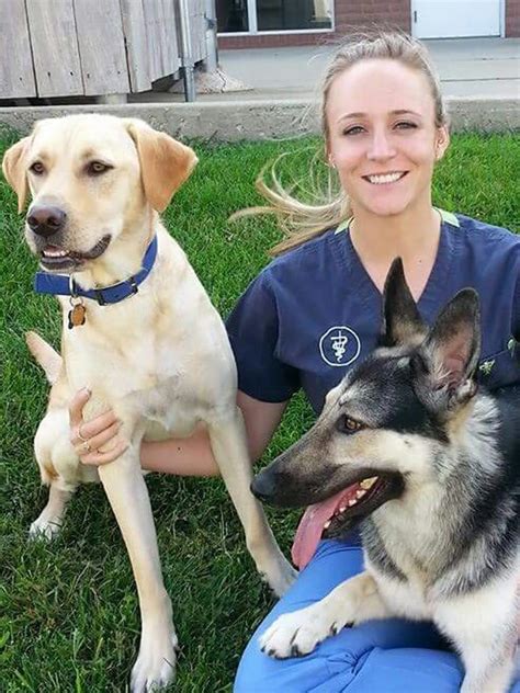 Proud member of az pet vet. Our Skilled Veterinarians | Catalina Pet Hospital