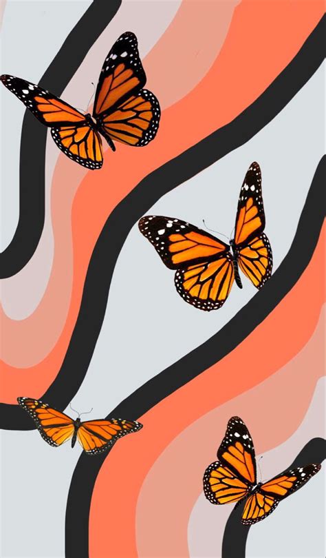 Vsco Wallpaper Butterfly Wallpaper Iphone Butterfly Wallpaper