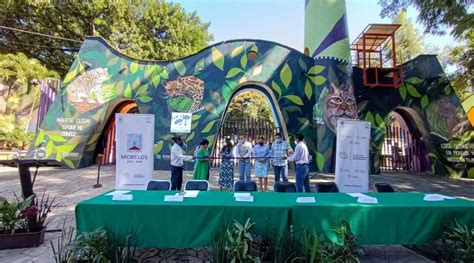 Inauguran Mural De Felinos En El Parque Barranca De Chapultepec En Cuernavaca Sin Línea Multimedia