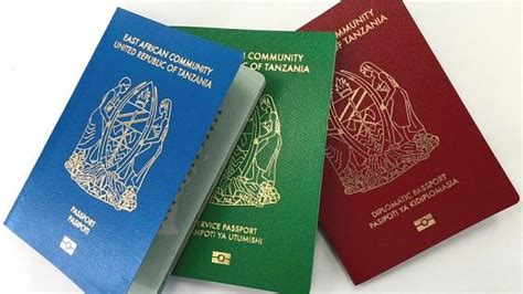 How To Get An International E Passport In East Africa Kescholars