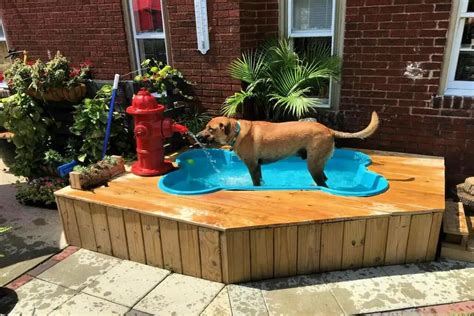 8 Easy Diy Dog Pool Ideas Dog House Diy Dog Friendly Backyard Dog Pool