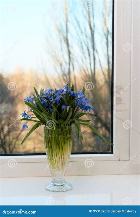 Flowers On A Window Sill Stock Photo Image Of Window 9531876