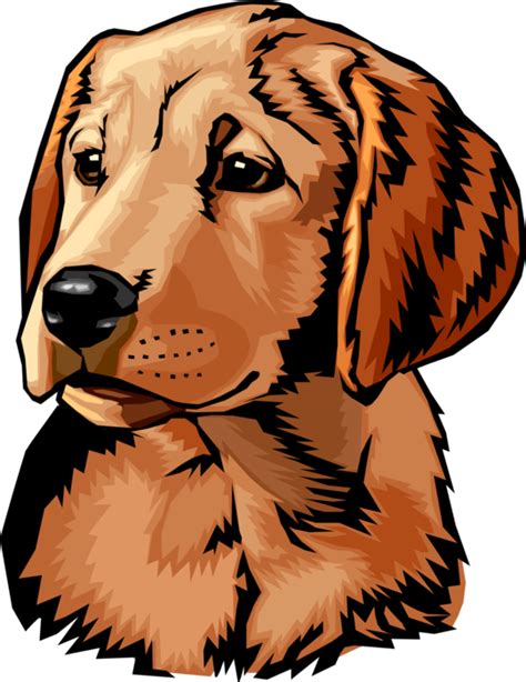 Download Vector Illustration Of Puppy Dog Head And Shoulders Clipart
