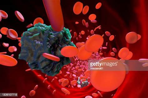 Blood Stream Cells Photos And Premium High Res Pictures Getty Images