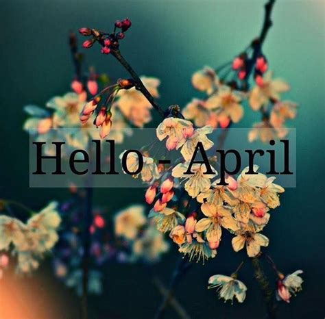 April Hello April Welcome April Spring HoŞgeldİn Nİsan İlkbahar