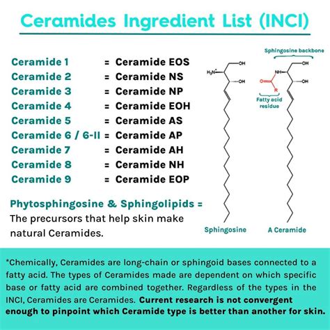 Announcing Ceramides As The Treasure Of Skin Barrier Worthee Cosmetics