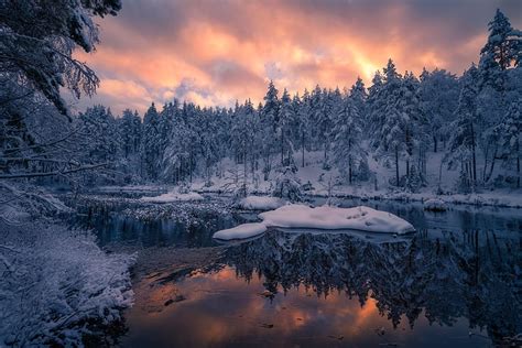 Winter Forest Snow Trees Sunset Reflection River Norway