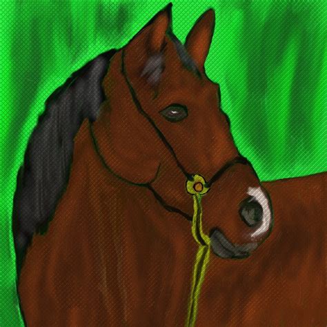 Download Horse Horse Head Stallion Royalty Free Stock Illustration