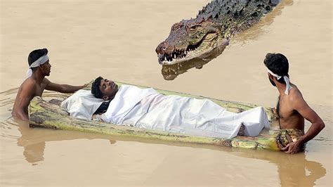 A Year Old Crocodile That Had Been Hidden In The River For Some