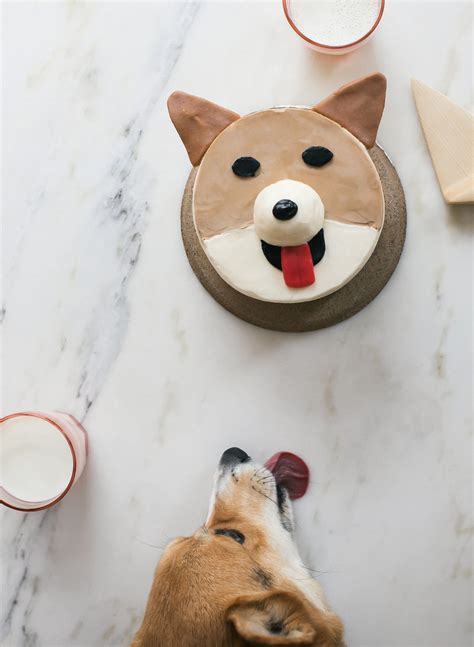 How To Make A Corgi Cake And A Pug Cake Too Recipe Pug Cake