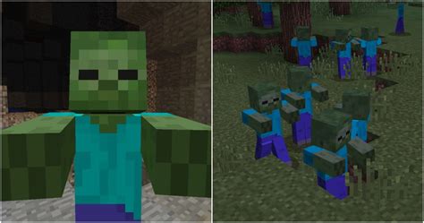 Minecraft 10 Things You Didnt Know About Zombies