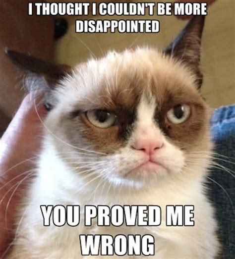 Strangely Enough The Worlds Grumpiest Cat Will Give You Something