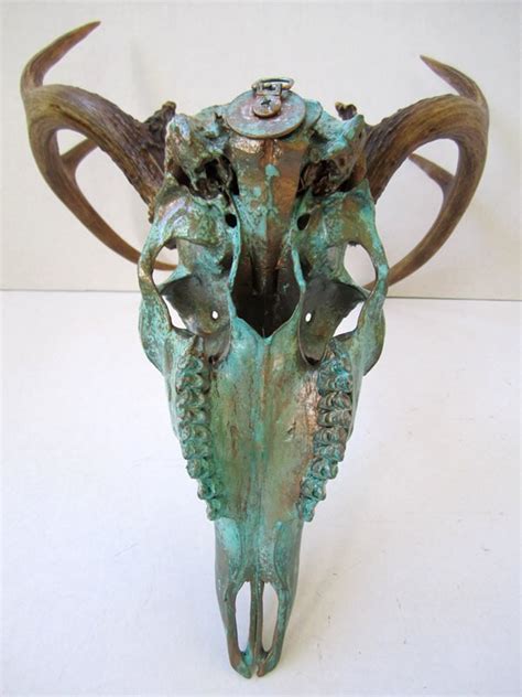 Copper Painted Natural Aqua Patina Deer Skull With Walnut Etsy
