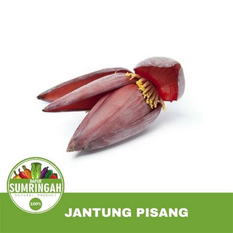 Maybe you would like to learn more about one of these? Paling Baru Gambar Sketsa Jantung Pisang - Tea And Lead