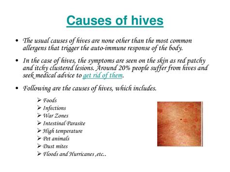Hives Rash Causes