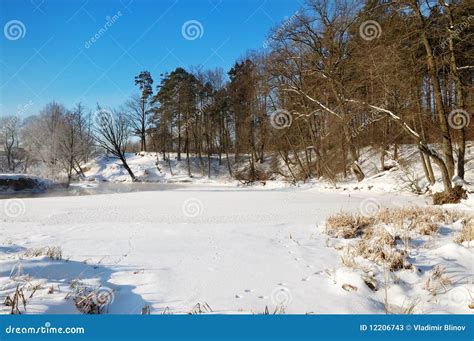 Frosty Winter Morning Stock Image Image Of January Covering 12206743