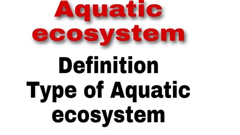 Aquatic Ecosystem Definition And Types Of Aquatic Ecosystem Youtube