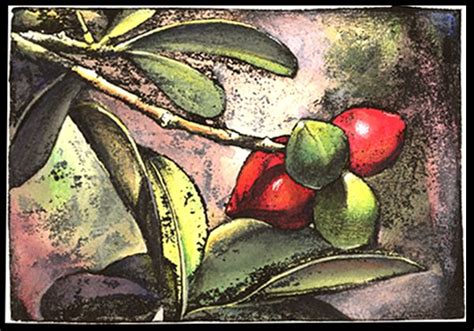 A Painting Of Some Fruit On A Tree Branch With Leaves And Berries In