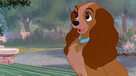 Who Do You Like Better Lady Or Tramp Poll Results Disneys Lady And